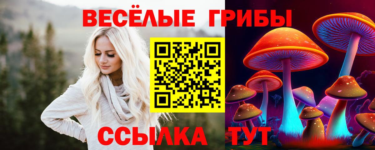 Галлюциногенные грибы мухоморы  Вход с VPN  Вятские Поляны  Псилоцибиновые грибы мицелий 